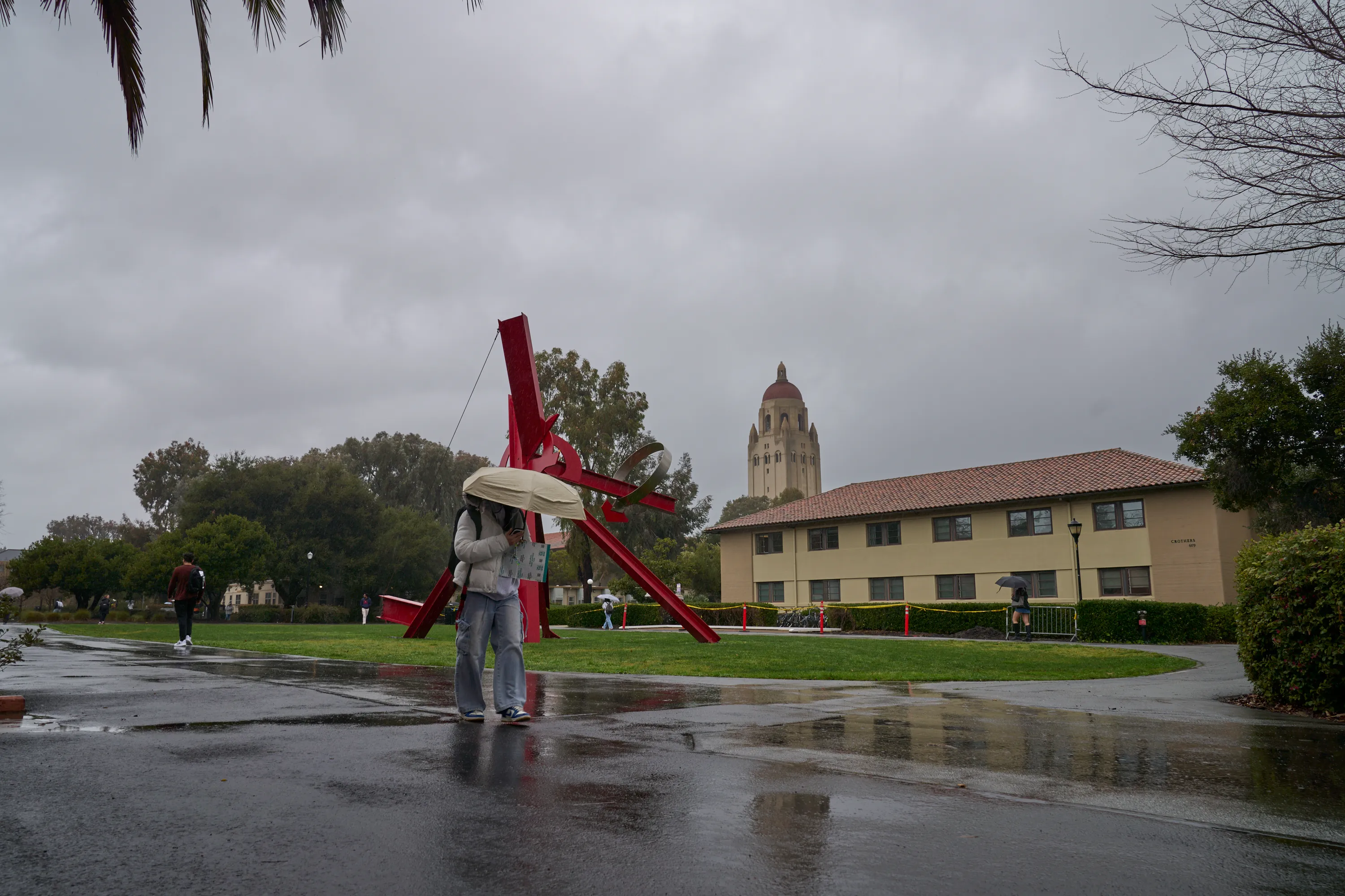 Rainy Stanford