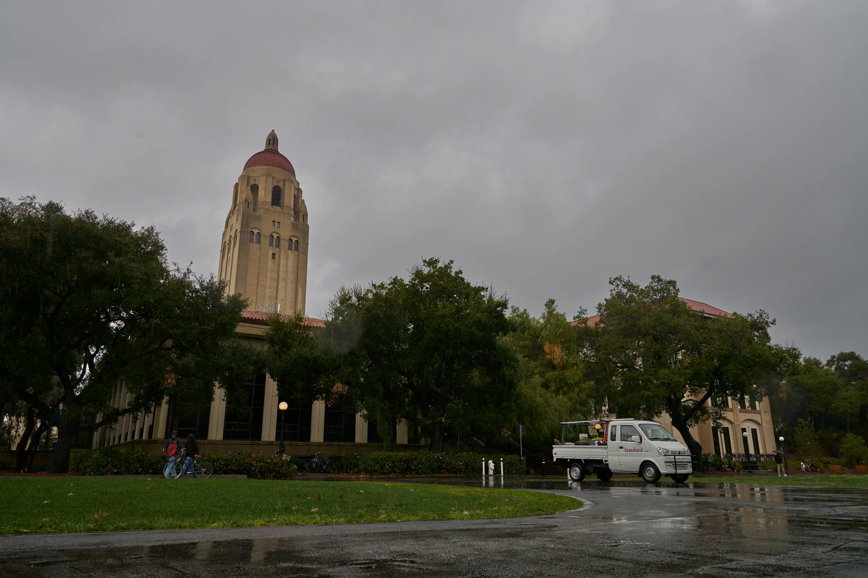 Rainy Stanford
