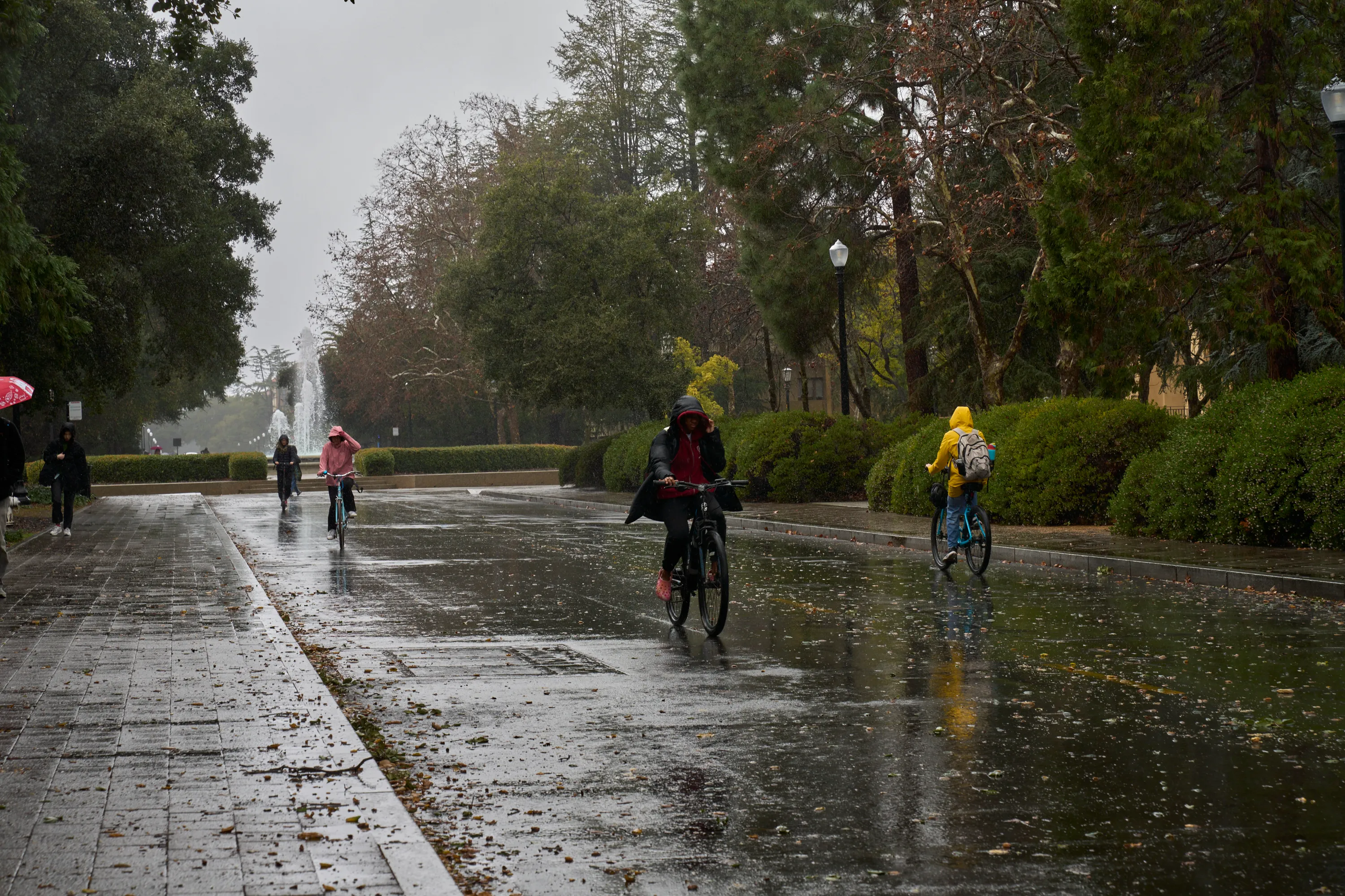 Rainy Stanford