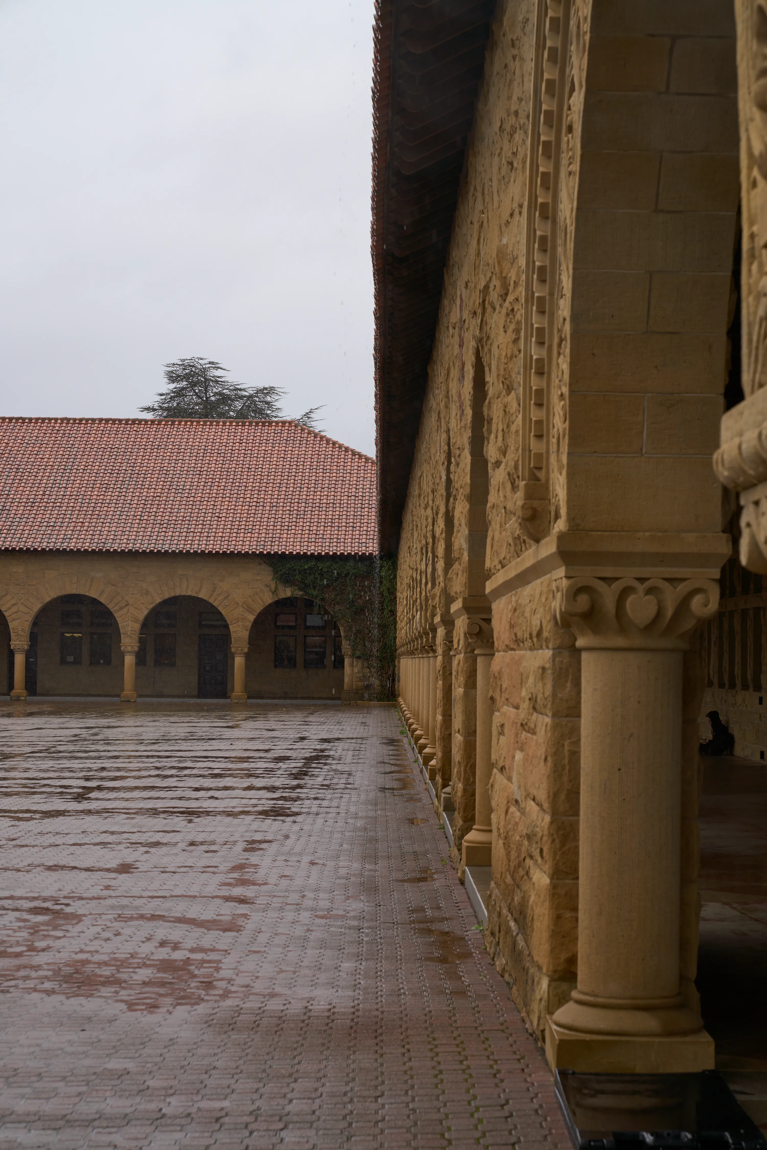 Rainy Stanford