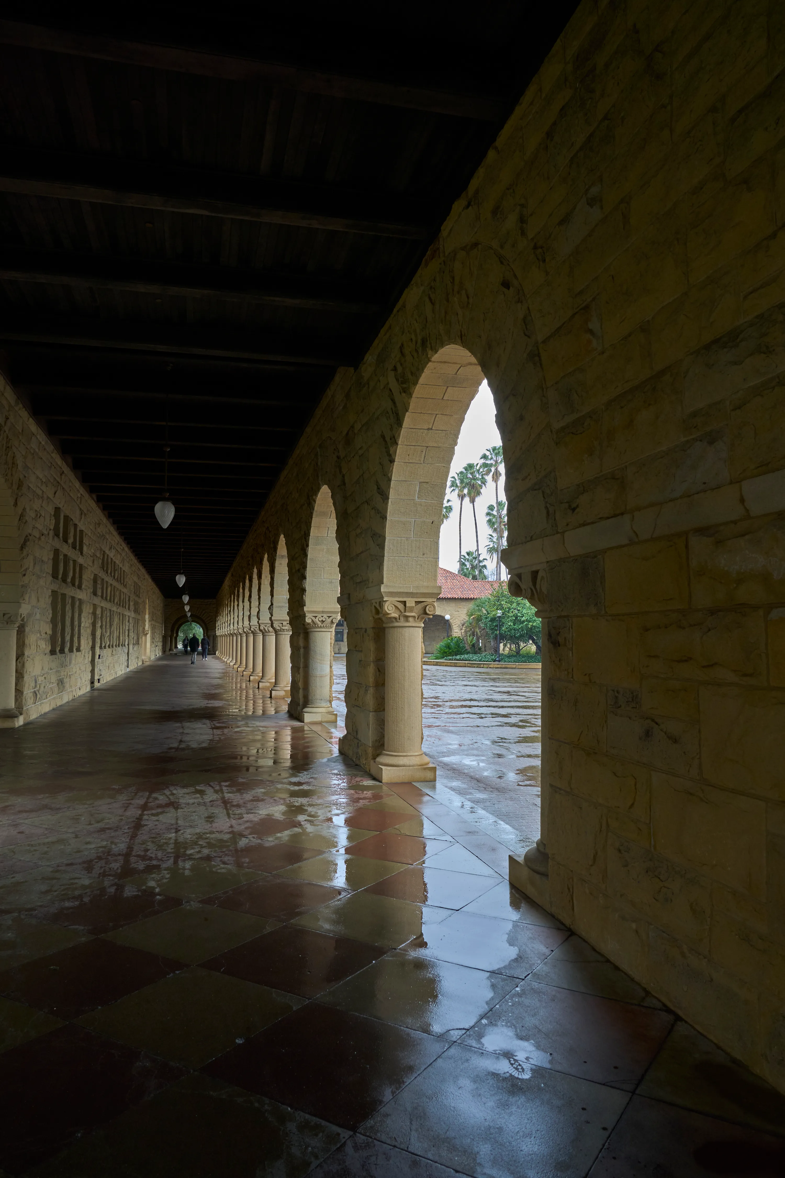 Rainy Stanford