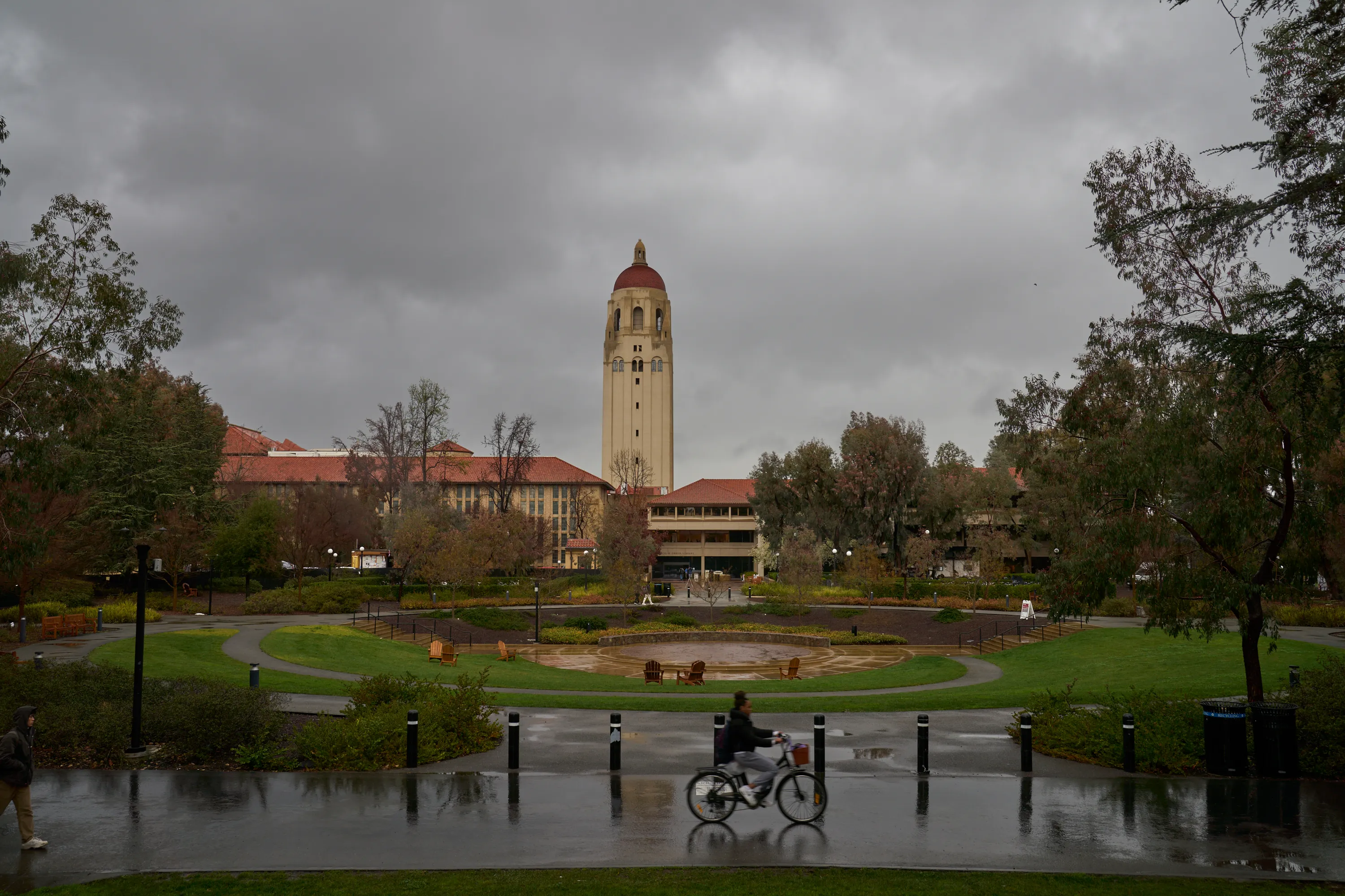 Rainy Stanford