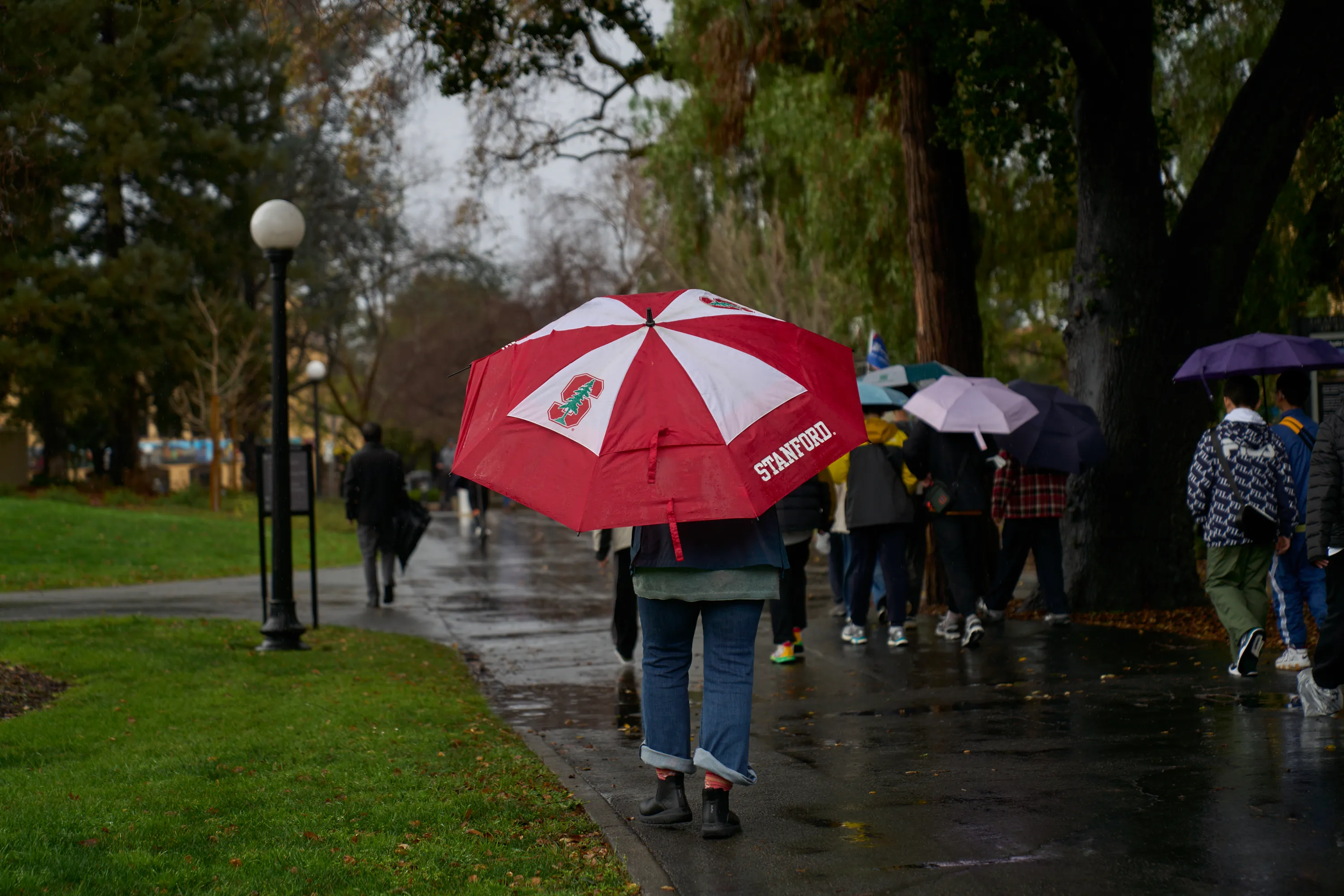 Rainy Stanford