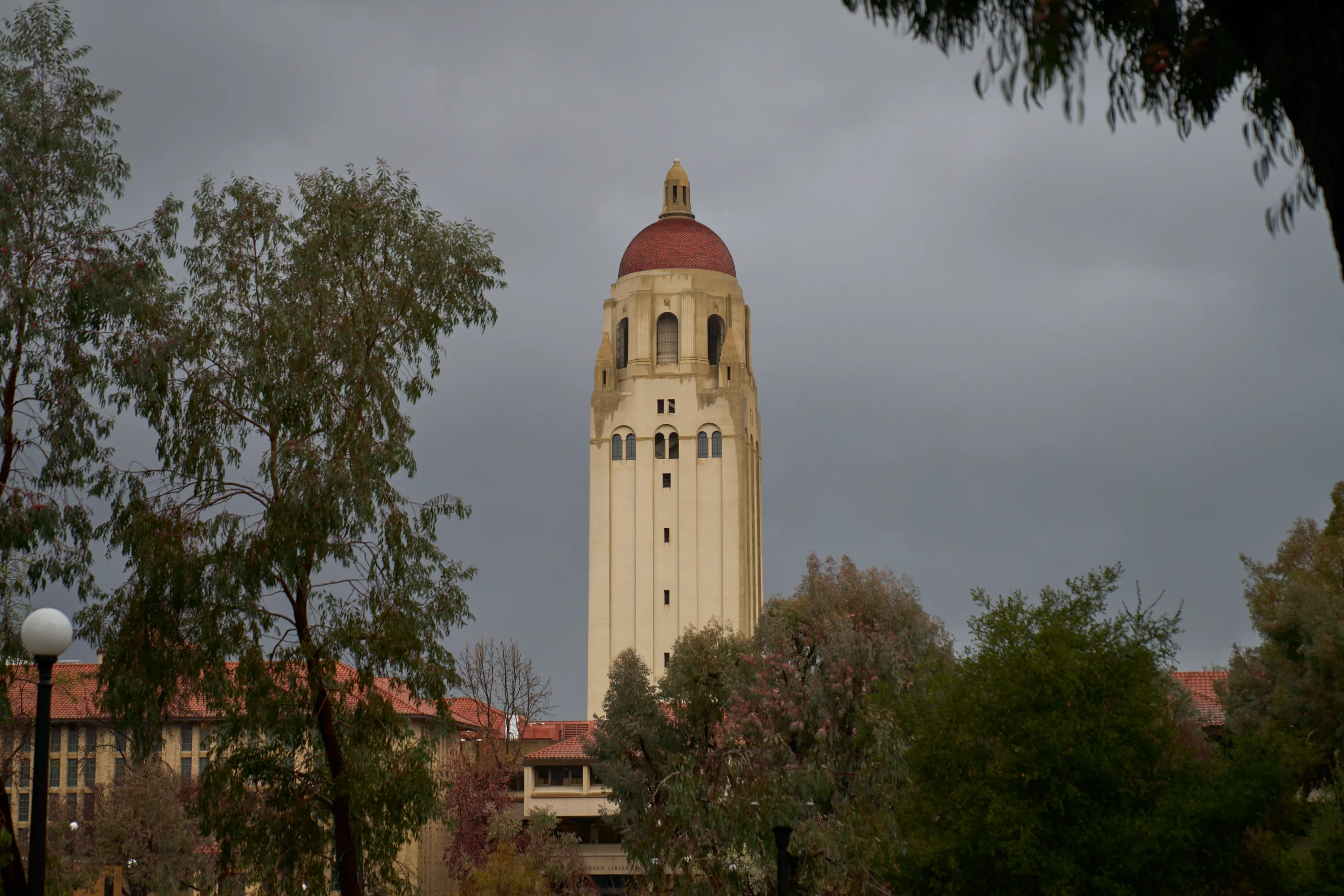 Rainy Stanford