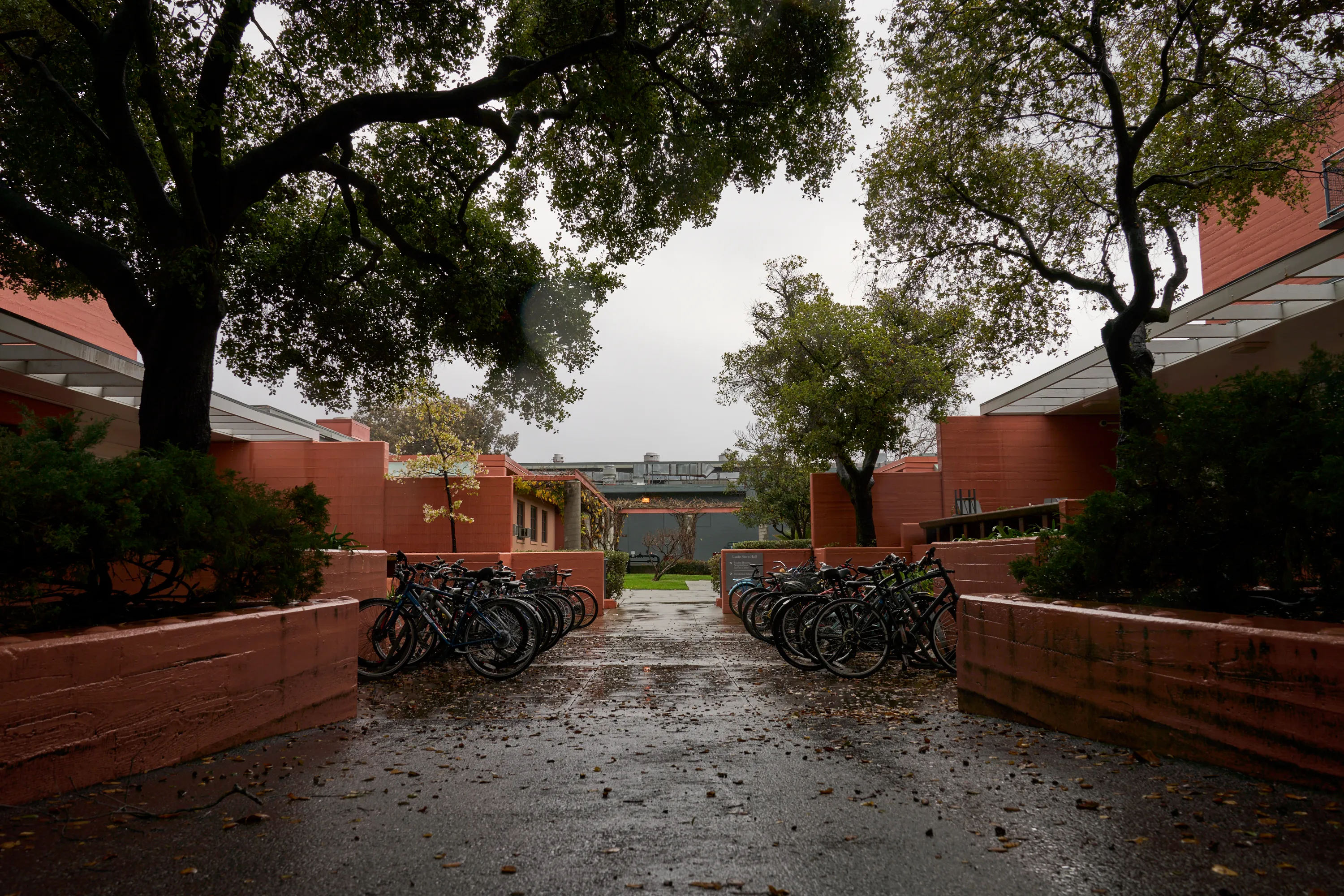Rainy Stanford