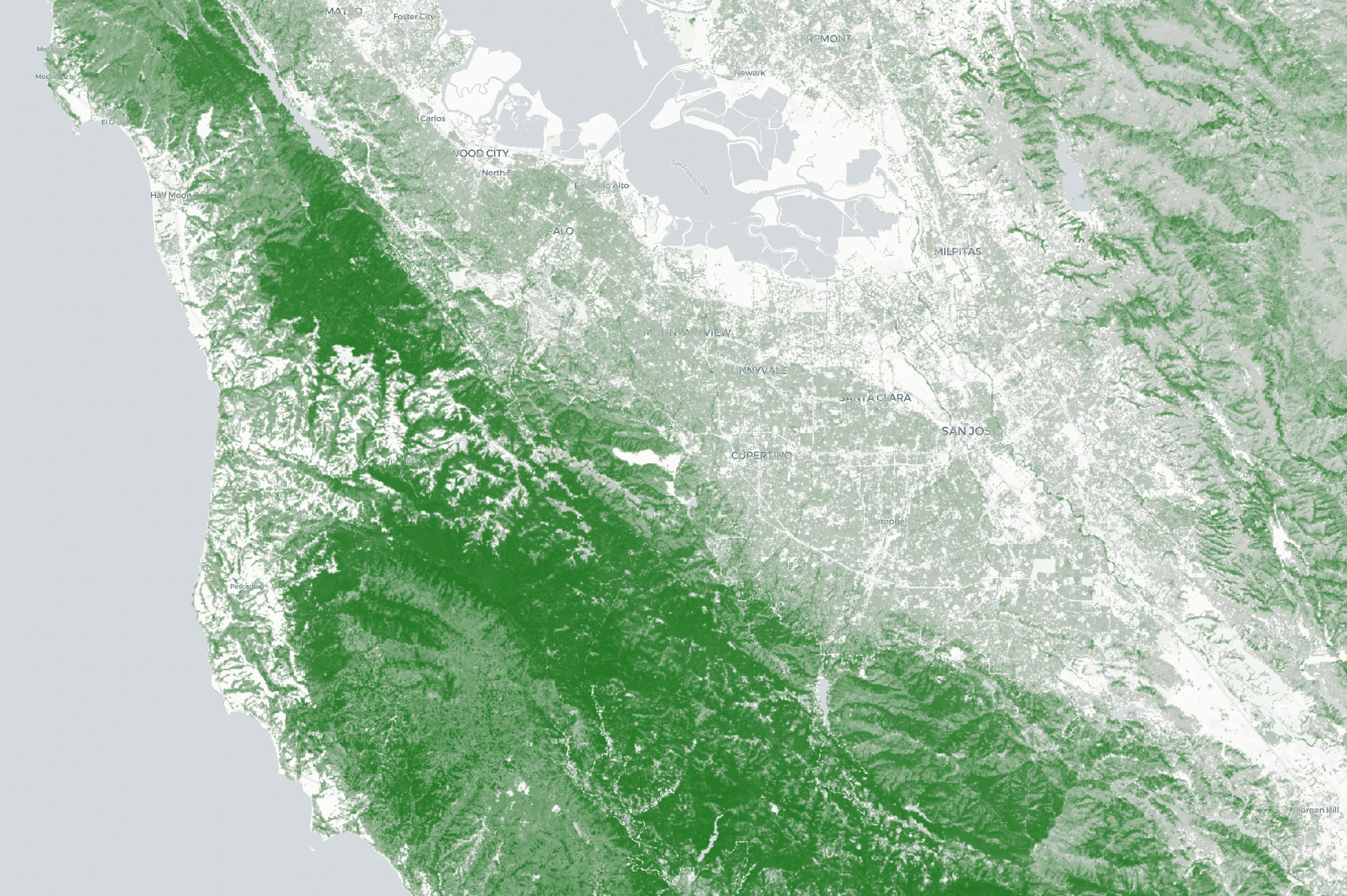 A satellite-derived view of tree-canopy cover across the San Francisco Bay Area.