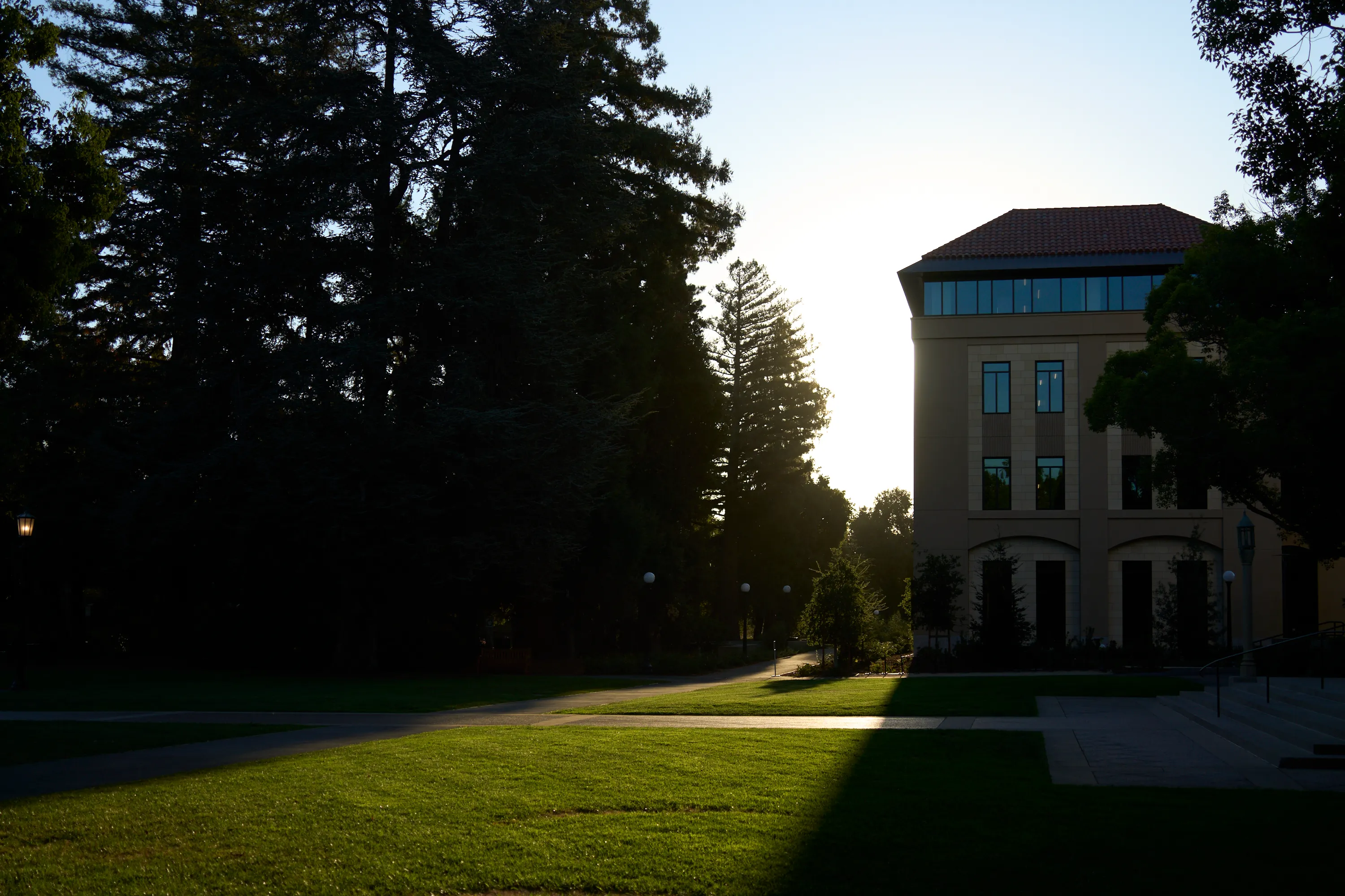 The Arborist seeks to shed light on the unseen parts of Stanford.